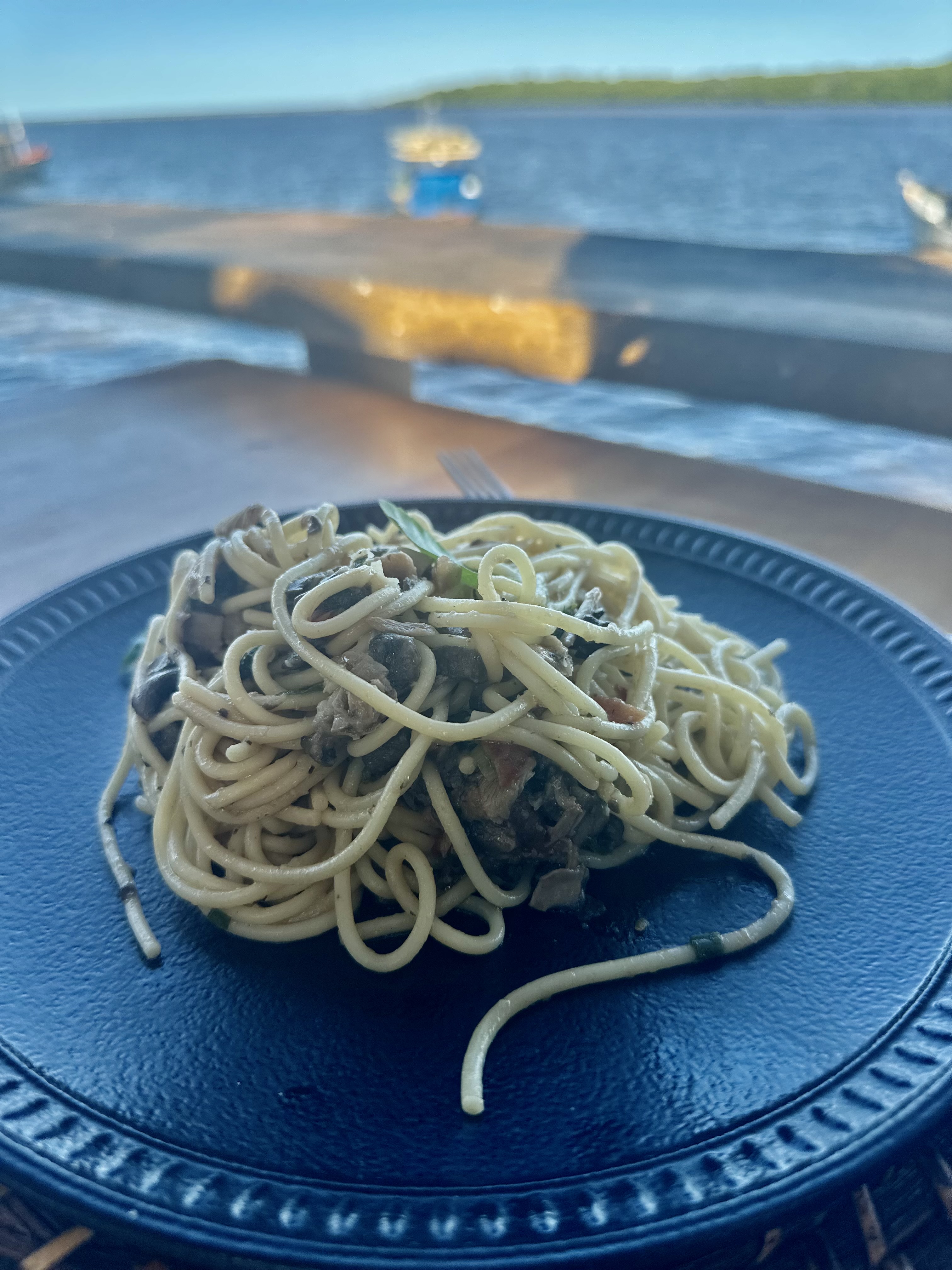 Cogumelo